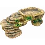  рептилии земноводные ракушка ta- клетка черепаха суша земля аквариум .. дом лестница отходит остров ( бежевый / зеленый, маленький )