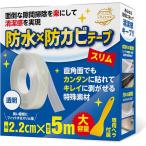 お掃除のプロ推奨 隙間テープ 防水 防カビテープ 隙間パテ 補修 (2.2cmx5m 透明1個,  幅2.2cm 長さ5m 厚さ1mm)