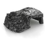  черепаха отходит остров ракушка ta- средний размер рептилии клетка ( фотография цвет, A)