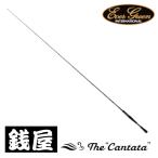 エバーグリーン オライオン OCSC-67M カンタータ