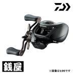  Daiwa 24 Steez SV TW 100XH