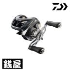 ダイワ 26スティーズ SV ライト TW 100HL