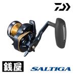 Daiwa 25 saltiga 10HL
