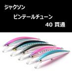 ジャクソン ピンテールチューン 40貫通 / Jackson Pin Tail Tune 40g 貫通ワイヤー