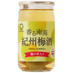 中野BC 香る南高 紀州梅酒 梅の実入り 160ml×20本 和歌山 リキュール u-yu