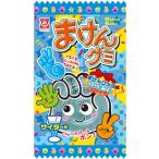 ma..gmi носорог da- тест 15g входить ×20 пакет Сугимото магазин кондитерские изделия ( АО )