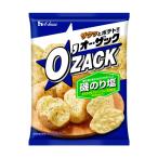 o-* рюкзак . клей соль тест 55g входить 1 пакет house еда ( АО ) [48 пакет до 1 выход стоимость доставки . доставка . возможность ]