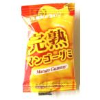 完熟マンゴーグミ 50個入 1BOX(株)テーケーエム