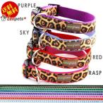 犬 首輪 MIMI Green Velvent Leopard 送料無料 ヒョウ柄 小型犬 中型犬 大型犬
