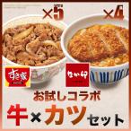 【期間限定】すき家×なか卯 お試しコラボ牛×カツセット 牛丼の具5パック×カツ丼の具4食 冷凍食品【送料無料】