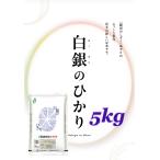 米　白米　新商品！【令和７年産岩手県産白銀のひかり5kg】　米　新商品！【令和７年産岩手県産白銀のひかり5kg】