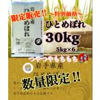 米　新米！特別限定価