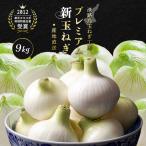  Awaji Island premium шар лук порей 9kg* бесплатная доставка *tama лук-батун лук репчатый Awaji Island лук репчатый .. шар лук порей Awaji Island шар лук порей лук шар лук-батун юг ......