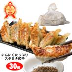 ショッピング餃子 冷凍餃子 専門店 ギョーザショップ にんにくたっぷり スタミナ 餃子 (30個)　40年間愛される路地裏の名店 手作り ニンニク 入り 餃子 お取り寄せ