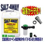 塩害腐食防止　SALTAWAY　エンジンフラッシングパッケージ　KAW ULTRA250-310/STX-12F/15F/800SX-R SD 2010以降モデルALL(RXT-X AS260除く) ●ソルト３