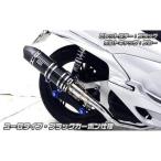 アニバーサリーマフラーユーロタイプブラックカーボン ウイルズウィン(WirusWin) PCX125(EBJ-JF28)2010年〜