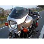 CB750 汎用ビキニカウル DS-01 typeエアロ スモークスクリーン（デジタルシルバーメタリック単色塗装）NH-A30M WORLD WALK（ワールドウォーク）