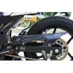 STRIKER エアロデザイン カーボンチェーンカバー STRIKER（ストライカー） Ninja250R（ニンジャ）