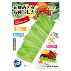 sinka Tec антибактериальный bejikabeG- lettuce примерно 131×50×22mm зеленый 