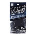 addgood(アドグッド) ボディシート CleshMEN(クレッシュメン) 超クールタイプ 40枚入