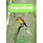 北海道の野鳥写真 中古 古本