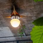 シーリングライト 間接照明 天井照明 おしゃれ LED照明  寝室 リビング 北欧 星形 ウッド スチール ガラス クラシカル 高級感 キャンパス １灯 べリアン BERIAN