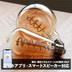 LED 電球 ハーフ エジソン スマート 間接照明 おしゃれ 北欧 天井照明 LEDライト カフェ 明るい コンセント インテリア シンプル アクセント照明 スチール 照明