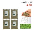 4 пакет комплект запад газонная трава вид лето . сильный 4 вид смешивание натуральный газонная трава сырой двор модный сад стакан .. person . время. информация имеется . начинающий OK