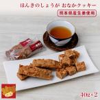 ほんきのしょうがおな