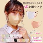 即納 3Dマスク 20枚 立体マスク 不織布 4層構造 カラーマスク チークマスク マスク 2タイプ おしゃれ 小顔 大人用 やわらか不織布