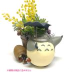 となりのトトロ ジオラマボックス どすーん！びっくり！