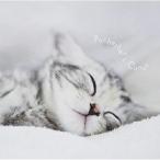 CD/¥¯¥é¥·¥Ã¥¯/¤Þ¤ë¤´¤È!¥Ñ¥Ã¥Ø¥ë¥Ù¥ë¤Î¥«¥Î¥ó