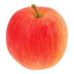 食品サンプル フェイクフード イミテーションフード）フジ(GL145)