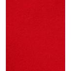 「DANTON」 長袖ニット 36 レッド レディース