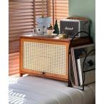 収納 北欧風ラタン調マルチ収納ケース