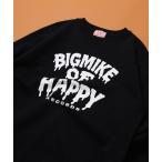トレーナー スウェット BIGMIKE 裏毛 クルーネック長袖トレーナー レディース メンズ