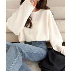 tシャツ 品のある透け感で、さりげない存在感を♪レーシージャガードドルマントップス(長袖) レディース