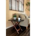 バタフライサイドテーブルNX