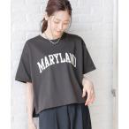 「GLOBAL WORK」 半袖Tシャツ FREE スミクロ レディース
