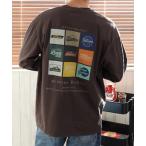 t рубашка [GENUINE DICKIES/jenyu in Dickies ] небо . пудра осветлитель обработка задний принт long T мужской женский 