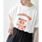 「SHIPS any」 半袖Tシャツ ONE SIZE ホワイト系その他 レディース