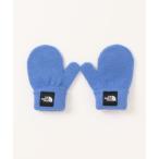 [THE NORTH FACE] [KIDS] перчатки FREE голубой Kids 