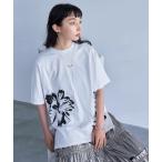 「HARE」 半袖Tシャツ FREE ホワイト レディース