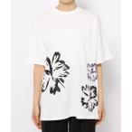「HARE」 半袖Tシャツ FREE ホワイト レディース