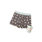 インテリア 「HOMME」ベア柄ボクサーパンツ