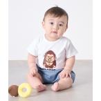  baby fa колено Gorilla лицо baby выставить 