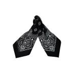  шарф бандана [HAV-A-HANK]PAISLEY BANDANNA мужской женский 
