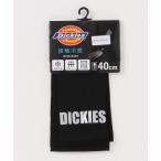  гетры для рук [Dickies]Small logo foil printed cooling arm cover / контакт охлаждающий гетры для рук 
