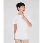 tシャツ 「Hanes/ヘイン�