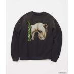 トレーナー スウェット DINOSAUR Jr. / ダイナソー Jr. プリントスウェット メンズ